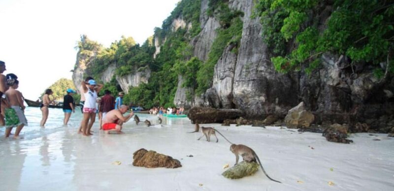 Swift Shores: Half-Day Phi Phi Trip - Transportation Options