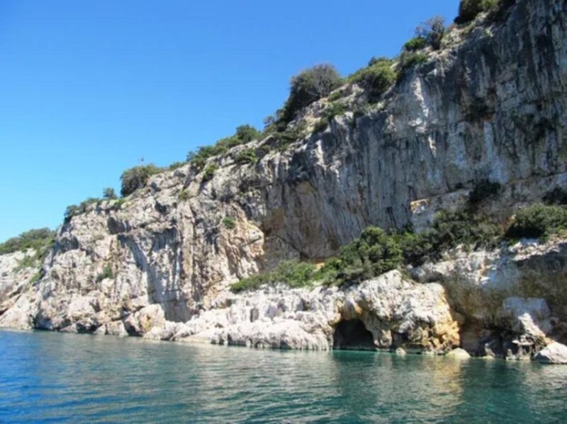 Swim and Snorkel With Capt. Bobo on Plavnik Island (Private) - Activities and Highlights