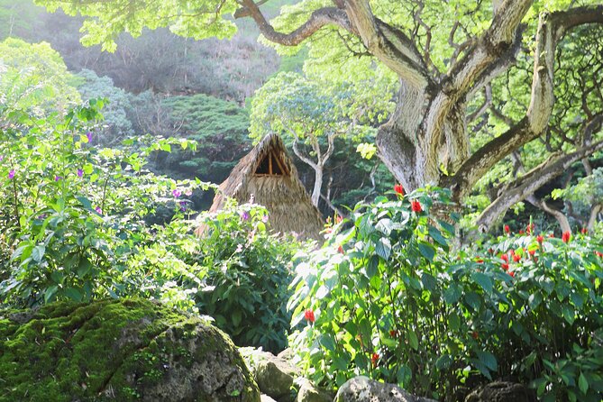 Swim at Oahu Waterfall in Waimea With Coffee, Lunch and Dole - Reviews and Ratings