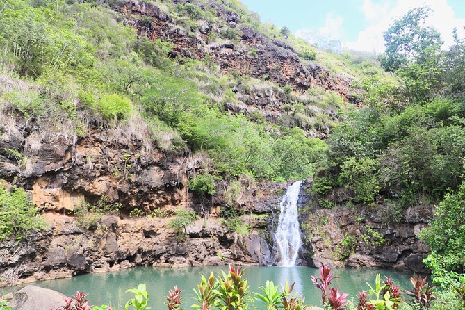 Swim at Oahu Waterfall in Waimea With Coffee, Lunch and Dole - Coffee Farm Exploration