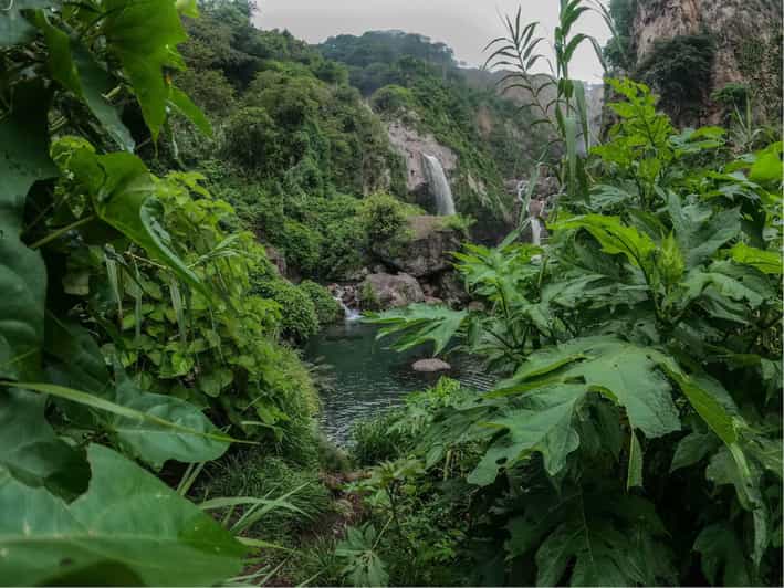 Swim in Lush Springs and Waterfalls in Guadalajara - Experience Details