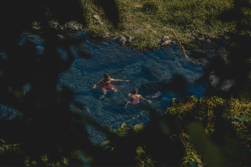 Swim in Lush Springs and Waterfalls in Guadalajara - Customer Reviews and Feedback