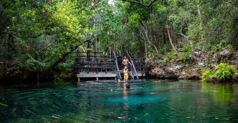 Swim in the Indigenous Eyes Cenotes - Experience Highlights