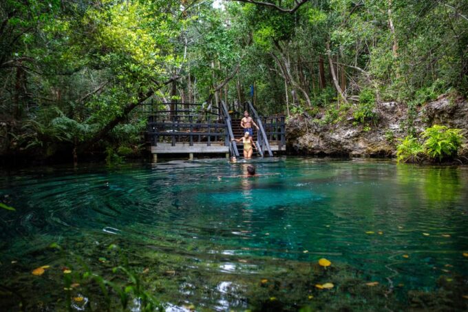 Swim in the Indigenous Eyes Cenotes - Cenotes Ojos Indígenas