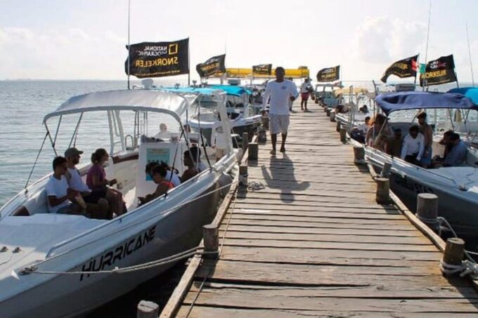 Swim Next to Whale Shark Only From Playa Del Carmen - Preparation and Guidelines
