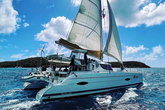 Swim W/Turtles at St. John, Pizza Pi & Snorkel a Shipwreck. - Savoring the Local Cuisine
