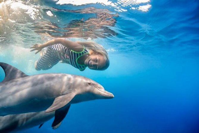 Swim With Dolphin By Semi PRIVATE Speedboat 4 Hours Sea Trip & Transfer-Hurghada - Amenities and Refreshments