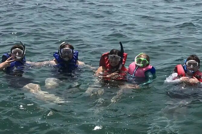 Swim with Dolphins And Snorkeling Group Tour - An In-Depth Look at the Tour Experience