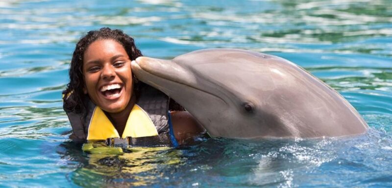 Swim With Dolphins at Ocean World Puerto Plata - Itinerary Highlights