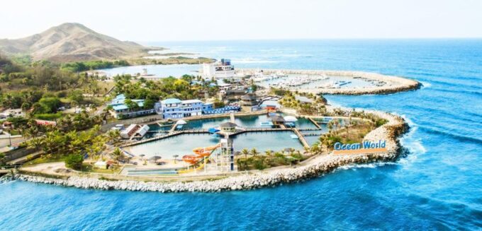Swim With Dolphins at Ocean World Puerto Plata - Interaction With Wildlife
