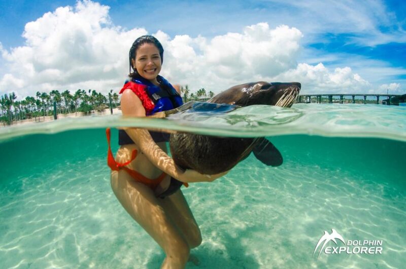 Swim With Dolphins in Punta Cana - Important Information