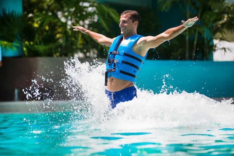 Swim With Dolphins Premium - Interactive Aquarium Cancun - Pricing and Reservation