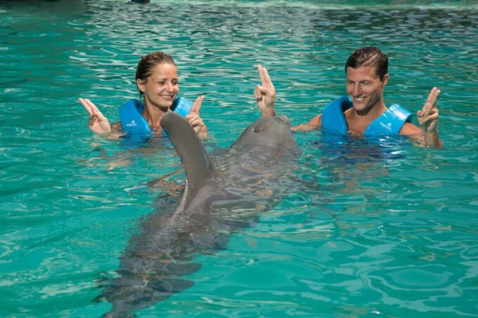 Swim With Dolphins Premium - Interactive Aquarium Cancun - Dolphin Interaction
