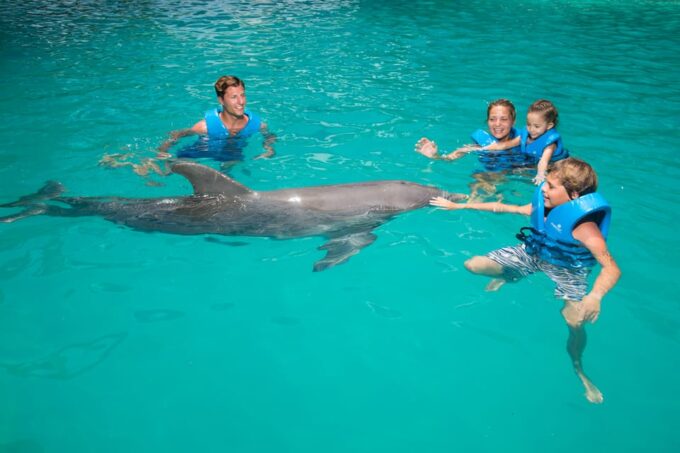 Swim With Dolphins Premium - Interactive Aquarium Cancun - Safety Considerations
