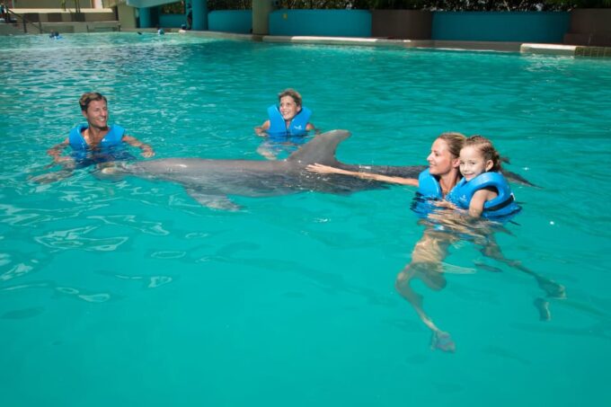 Swim With Dolphins Premium - Interactive Aquarium Cancun - Frequently Asked Questions