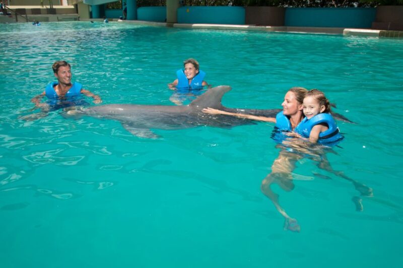 Swim With Dolphins Ride - Interactive Aquarium Cancun - Dolphin Interaction Activities