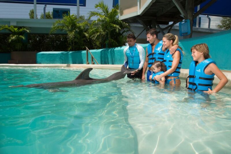 Swim With Dolphins Ride - Interactive Aquarium Cancun - Frequently Asked Questions