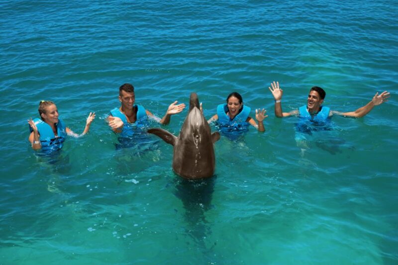 Swim With Dolphins Ride - Playa Mujeres - Important Information
