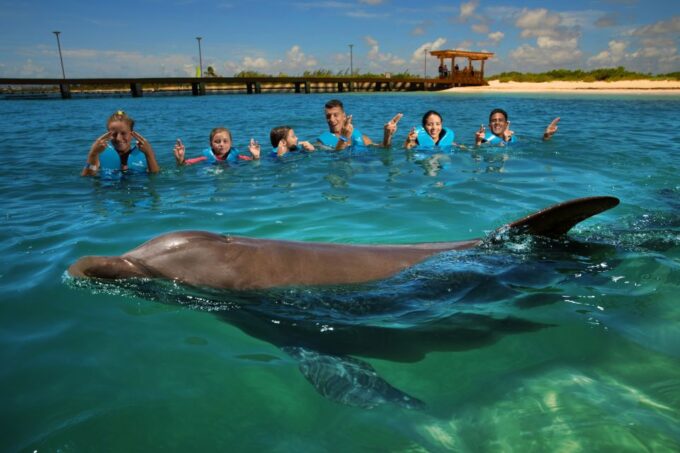 Swim With Dolphins Ride - Playa Mujeres - Safety Precautions