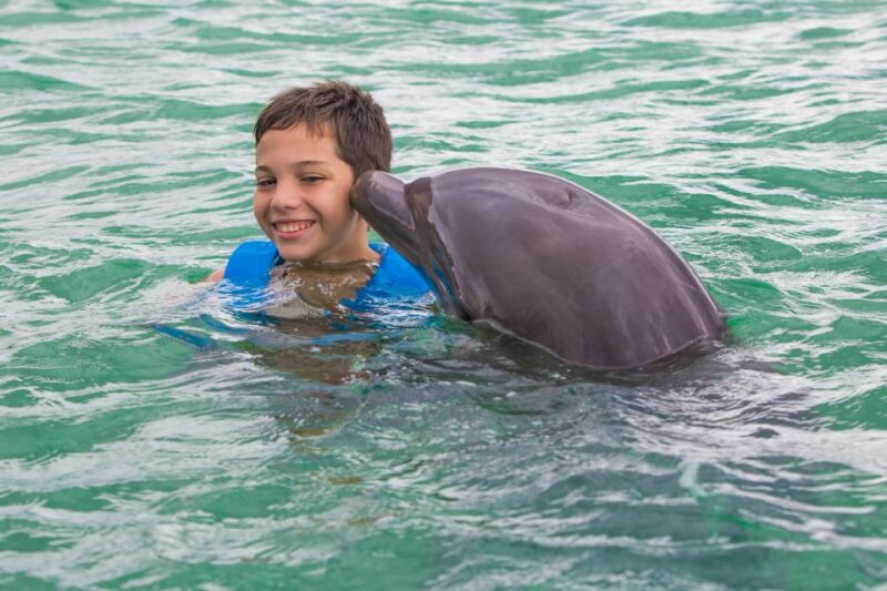Swim With Dolphins Ride - Puerto Morelos - Inclusions and What to Bring