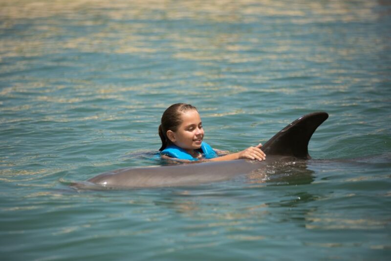 Swim With Dolphins Ride - Puerto Morelos - Meeting Point and Restrictions