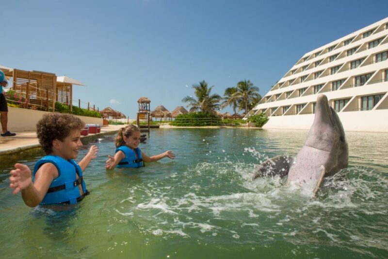Swim With Dolphins Ride - Punta Cancun - Key Points