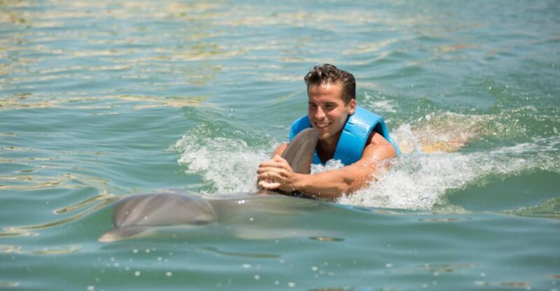 Swim With Dolphins Ride - Punta Cancun - Safety Precautions