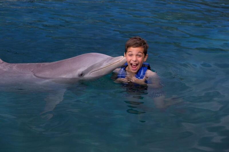 Swim With Dolphins Ride - Riviera Maya - Key Points