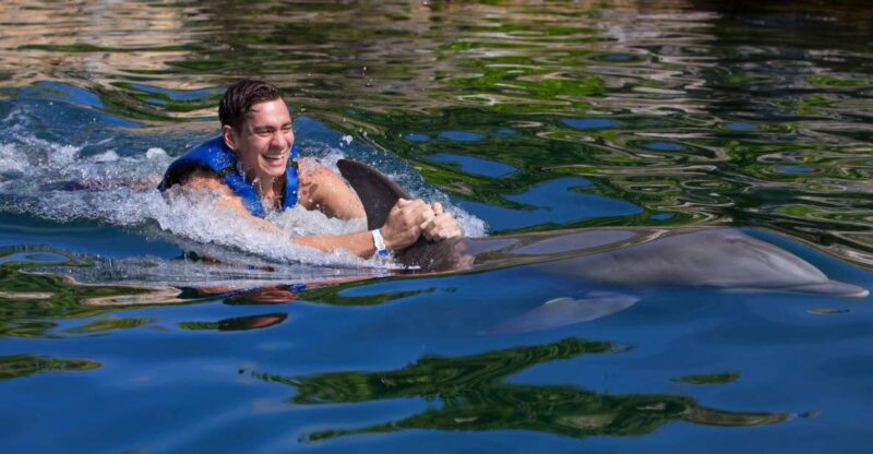 Swim With Dolphins Ride - Riviera Maya - Pricing and Reservations