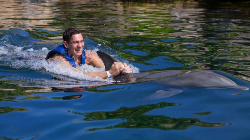 Swim With Dolphins Ride - Riviera Maya - Activity Inclusions