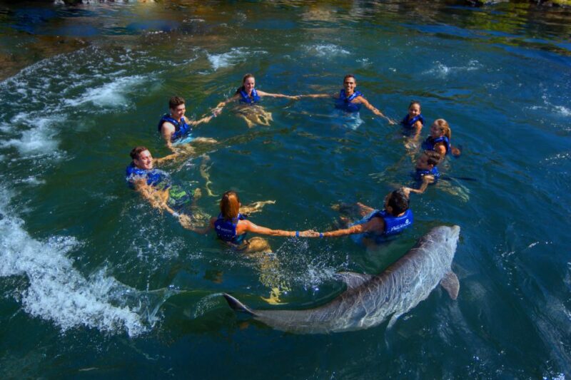 Swim With Dolphins Ride - Riviera Maya - Meeting Location