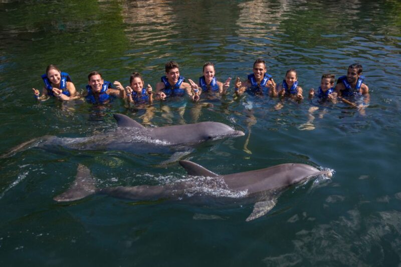 Swim With Dolphins Ride - Riviera Maya - What to Bring