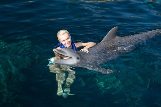 Swim With Dolphins Ride - Riviera Maya - Customer Feedback