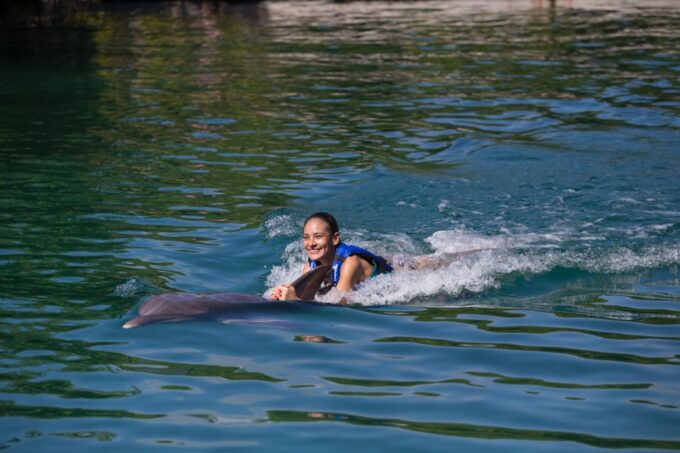 Swim With Dolphins Ride - Riviera Maya - Memorable Interactions