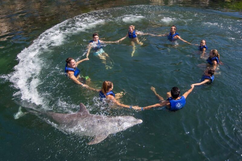 Swim With Dolphins Splash - Puerto Morelos - Key Points