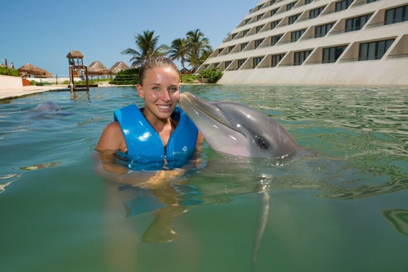 Swim With Dolphins Splash - Punta Cancun - Dolphin Interaction Activities