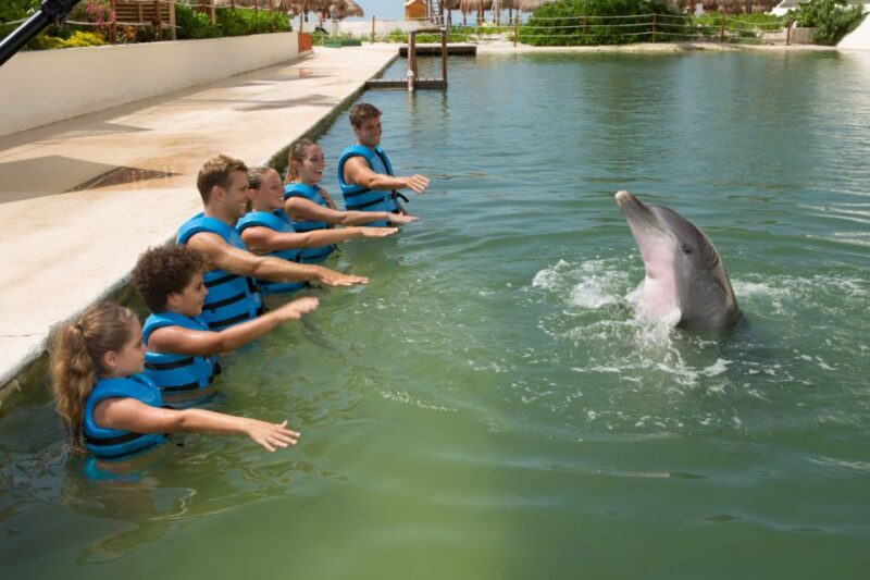 Swim With Dolphins Splash - Punta Cancun - Safety Measures and Policies
