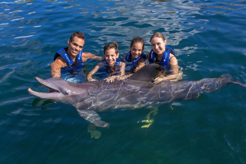 Swim With Dolphins Splash - Riviera Maya - Safety and Restrictions