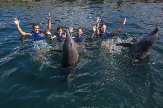 Swim With Dolphins Splash - Riviera Maya - Booking and Cancellation Policy