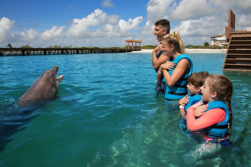 Swim With Dolphins Supreme - Playa Mujeres - Activity Inclusions