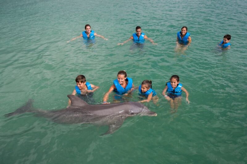 Swim With Dolphins - Supreme - Puerto Morelos - Important Information
