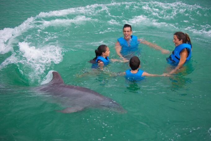 Swim With Dolphins - Supreme - Puerto Morelos - Customer Feedback