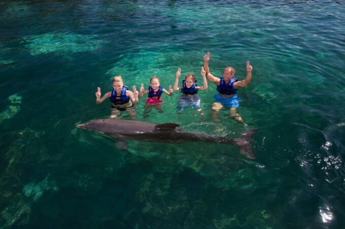 Swim With Dolphins - Supreme - Puerto Morelos - Booking and Availability