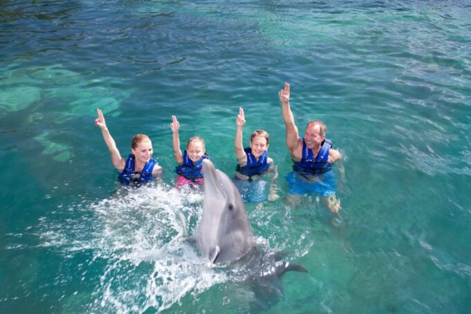 Swim With Dolphins - Supreme - Puerto Morelos - Location and Amenities