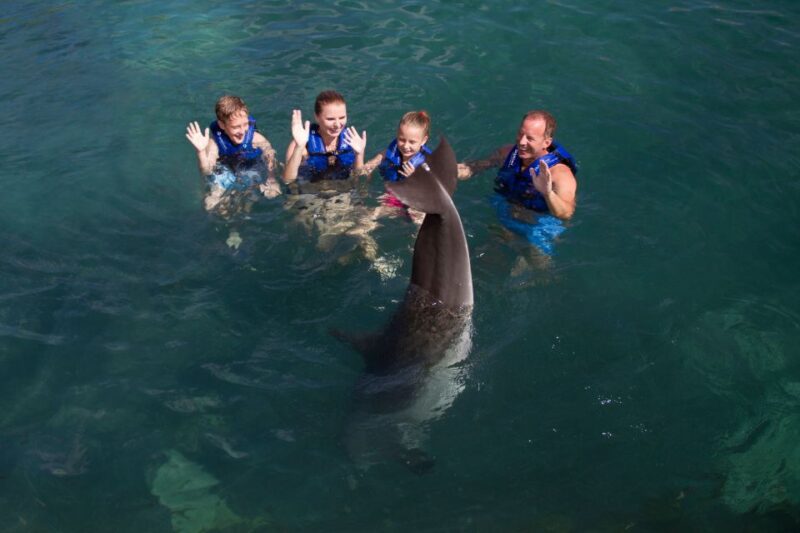 Swim With Dolphins Supreme - Riviera Maya - Key Points