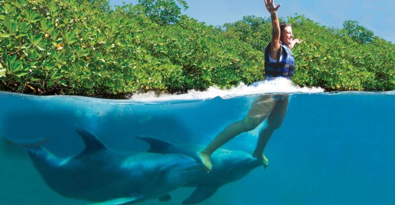 Swim With Dolphins Supreme - Riviera Maya - Pricing and Booking