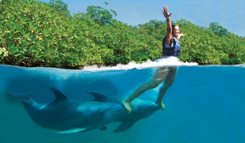 Swim With Dolphins Supreme - Riviera Maya - Location and Meeting Point