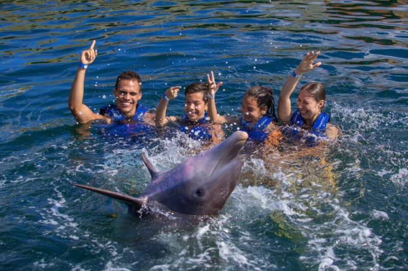 Swim With Dolphins Supreme - Riviera Maya - Inclusions and Restrictions