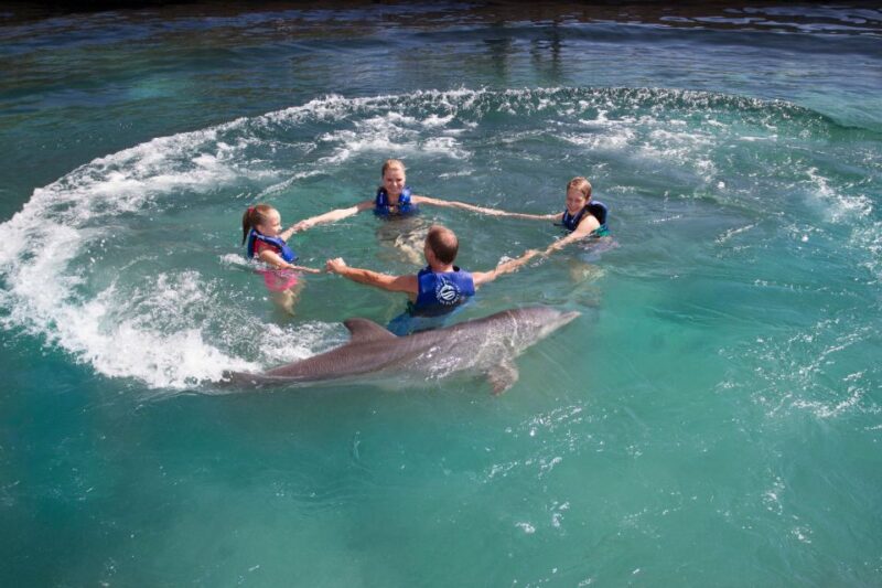Swim With Dolphins Supreme - Riviera Maya - Customer Reviews and Ratings