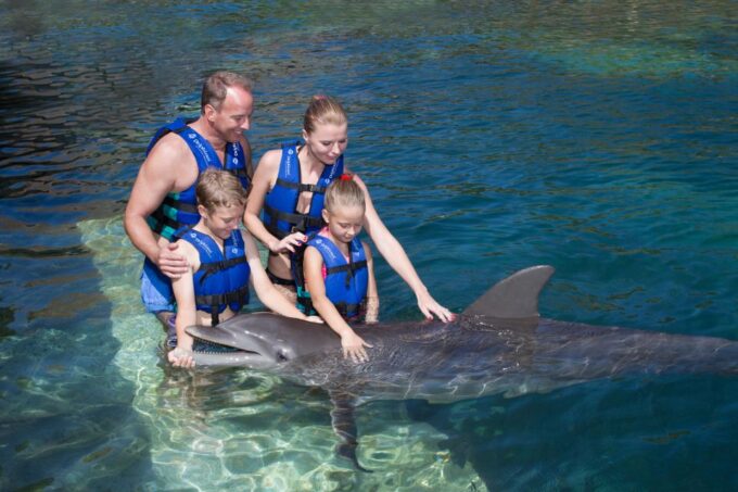 Swim With Dolphins Supreme - Riviera Maya - What to Expect
